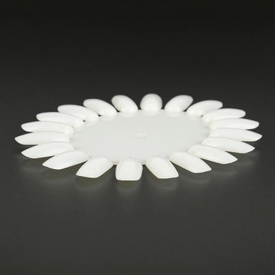 20 Colors False Nail Tips Display French Nail Art Acrylic False Nail Clear Practice Gel Polish Palette Round Wheel Mould DIY