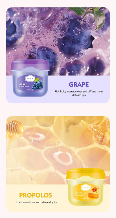 24pcs Fruit Flavored Lip Balm Set Natural Moisturizing Hydrating Non-sticky Winter Anti-Cracked Lip Balm Lips Skin Care