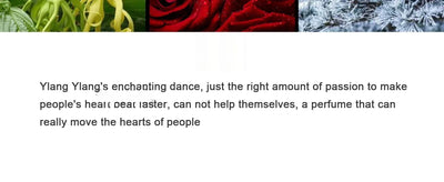 A 50 - ml brand perfume with an atomizer, suitable for both women and men, has a long - lasting fragrance. It combines woody ele