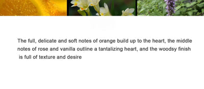 A 50 - ml brand perfume with an atomizer, suitable for both women and men, has a long - lasting fragrance. It combines woody ele