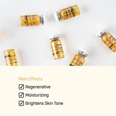 8ml Salmon DNA Gold Ampoule Skin Booster Serum Stayve BB Cream Glow Beginner Starter Kit Korea Face Skin Care Essence Foundation