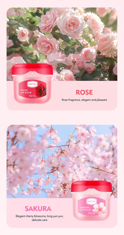 24pcs Fruit Flavored Lip Balm Set Natural Moisturizing Hydrating Non-sticky Winter Anti-Cracked Lip Balm Lips Skin Care