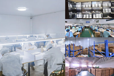 MJ 10 Rows of Large Capacity Glue-free False Eyelashes Single Cluster 10-12MM C-curled Natural Self-adhesive false Eyelashes