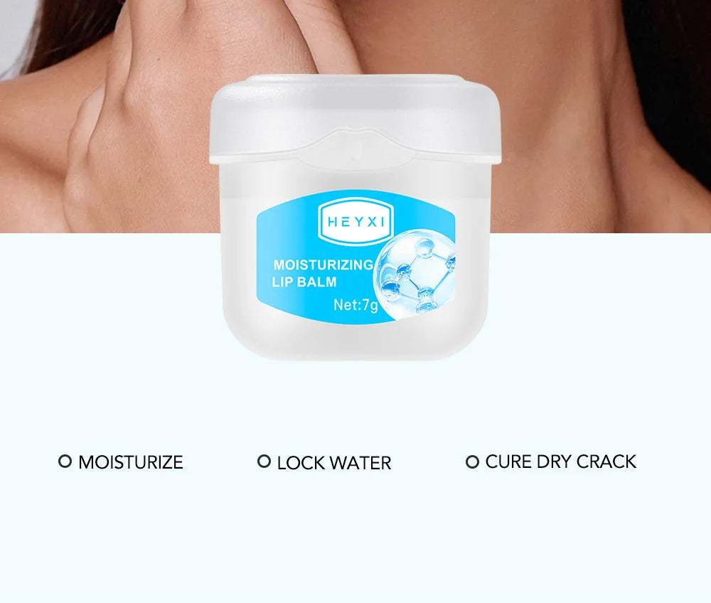 24pcs Fruit Flavored Lip Balm Set Natural Moisturizing Hydrating Non-sticky Winter Anti-Cracked Lip Balm Lips Skin Care