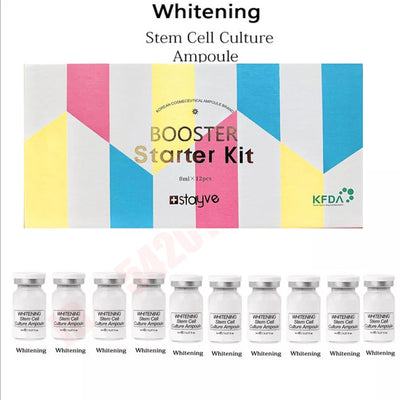 Korea Original Stayve BB Cream Glow Beginner Starter Kit Niacinamide/Peptide Essence Moisturise Face Skin Care