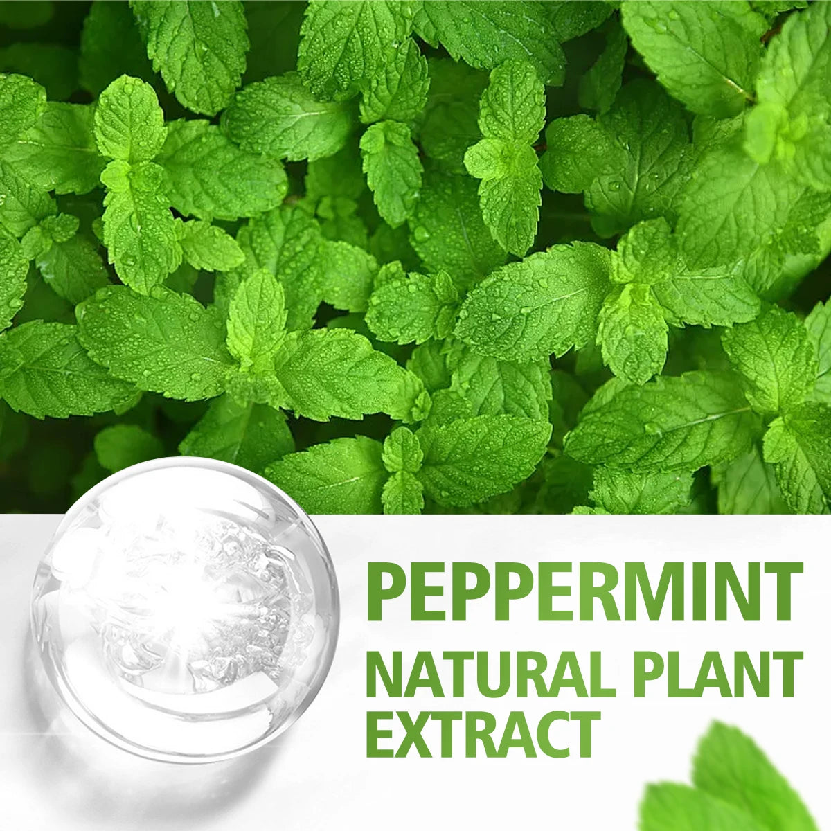 Peppermint essential oil has a refreshing aroma, delicate texture, moisturizing and is suitable for body care and hair care.