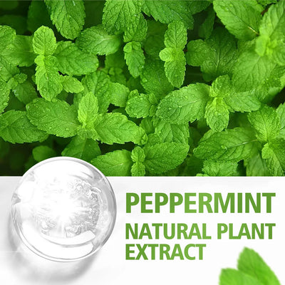 Peppermint essential oil has a refreshing aroma, delicate texture, moisturizing and is suitable for body care and hair care.