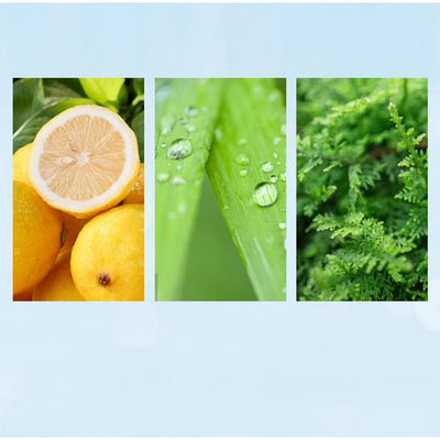 Lazy Weekend Lab Perfume Brand Unisex Mixed Sandalwood Musk Eau De Toilette Fresh Natural Lasting Fragrance Charming Perfume