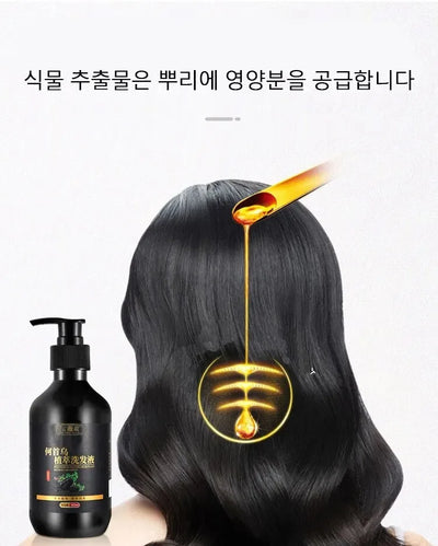 Herbal Polygonum Multiflorum Shampoo Oil Control, Dandruff Control, Itchy Relief Shampoo for Women Hair Essential Oil Hair Care