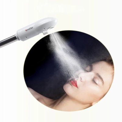 High Quality 2 In 1 Ozone Facial Steamer Dense Sprayer Beauty Salons Face Sauna hot Sprayer
