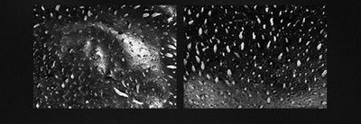 Black Head Remover Face Mask Bamboo Charcoal Black Dot T-zone Deep Cleaning for Women Men Blackhead Facial Skin Care Products