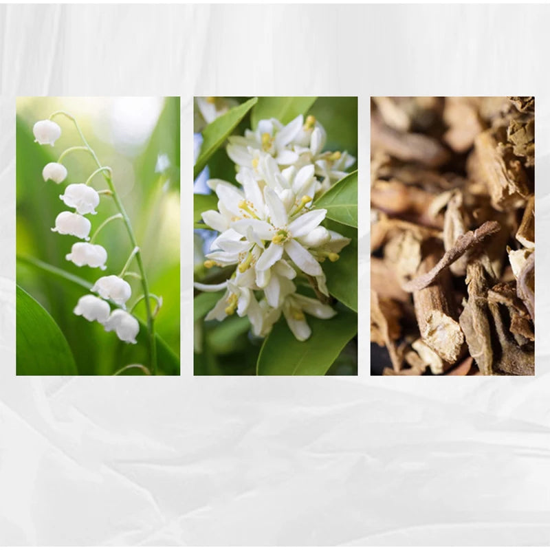 Lazy Weekend Lab Perfume Brand Unisex Mixed Sandalwood Musk Eau De Toilette Fresh Natural Lasting Fragrance Charming Perfume