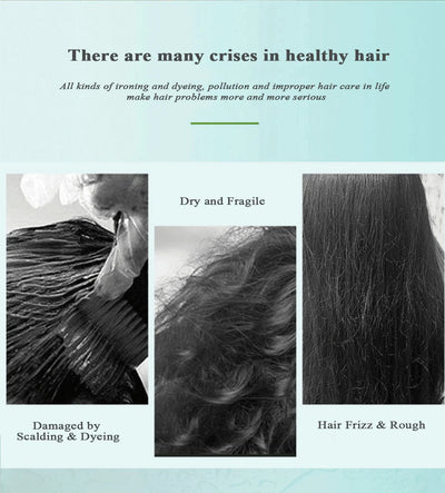 ZHANGGUANG 101 500G Anti Hair Loss Shampoo Repair Damaged Hair Smooth Hair Nourishing Conditioner