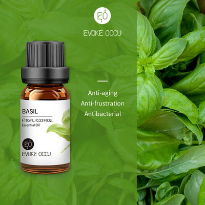 EVOKE OCCU 10mL Essential Oil, Lavender Jasmine Rose Vanilla Pure Natural Oil for Diffuser Humidifier Massage Candle Soap Making