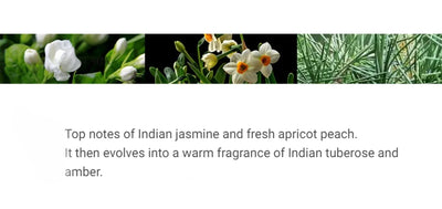 A 50 - ml brand perfume with an atomizer, suitable for both women and men, has a long - lasting fragrance. It combines woody ele